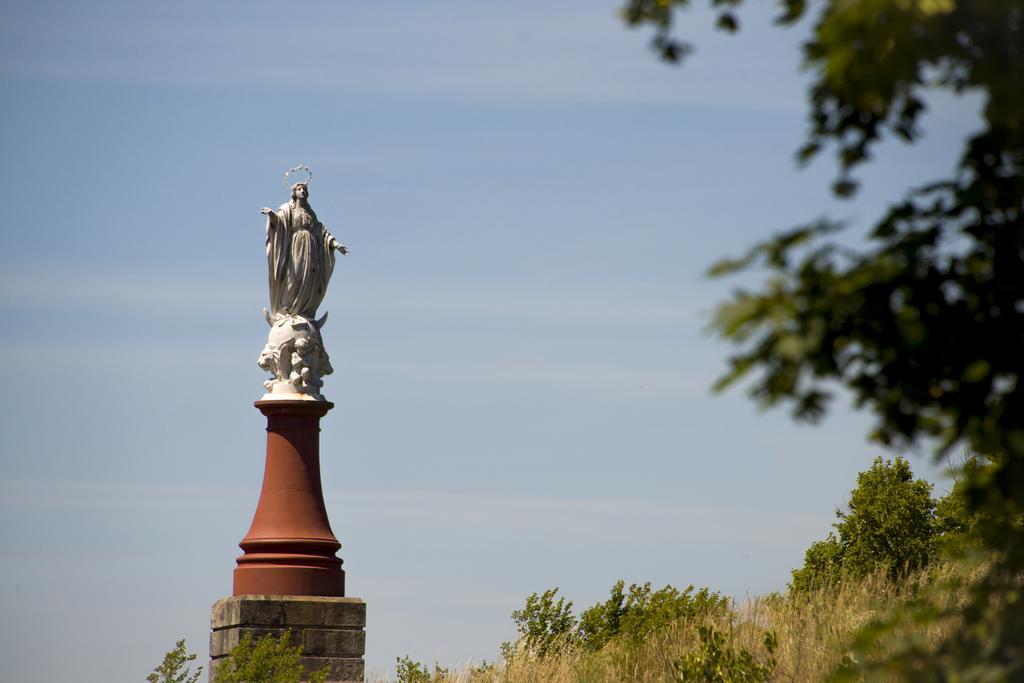 Vacanceole - Domaine Du Green Rivières Exteriör bild